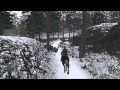Red Dead Redemption Compass Full Ride 