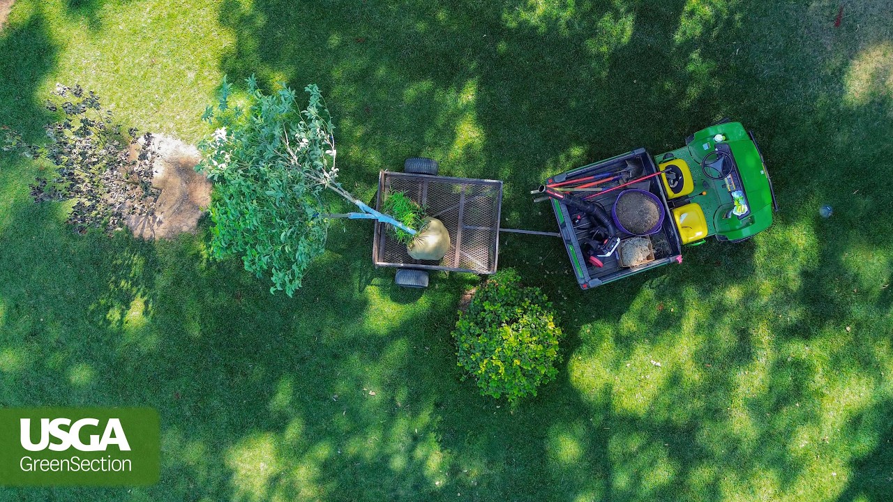 Planting the Right Trees in the Right Places on a Golf Course