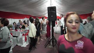 Iulica Pistol & Formatia Profesional Ionel de la Cetate - Instrumentala Ana Maria & Florin Nunta