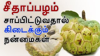 சீதாப்பழம் 10 நோய் குணப்படுத்தும் | 10 Health Benefits Of Sweet Apple | Custard apple Benefits Tamil