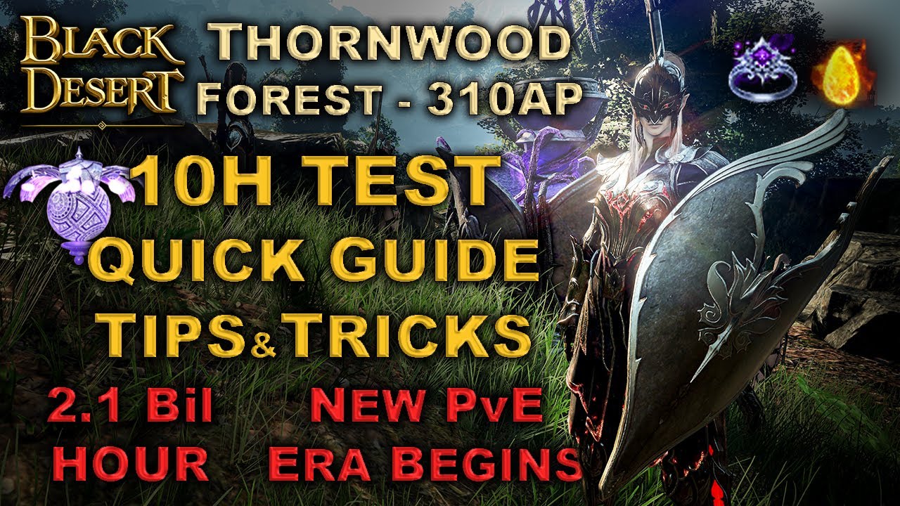 BDO Thornwood Forest 10H Hour Test Crystals Quick Guide Tips