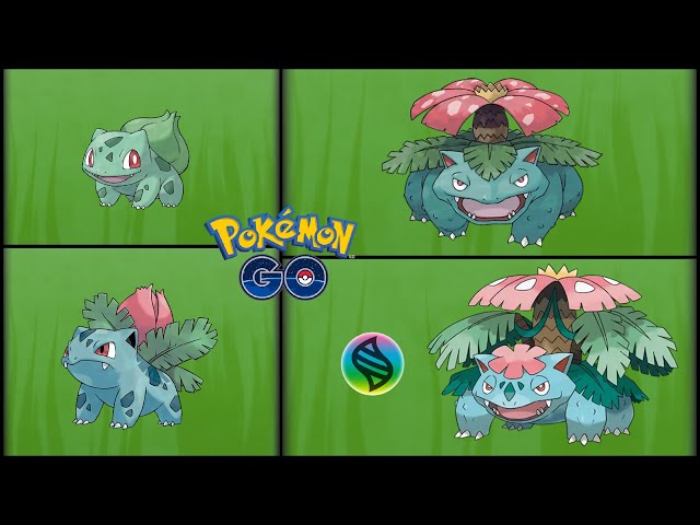 FULL BULBASAUR EVOLUTION TEAM! Shiny Bulbasaur, Ivysaur, Venusaur, Venusaur  Gigantamax 