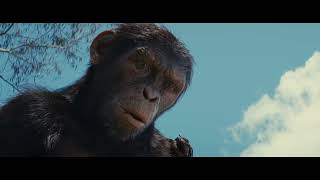 Kingdom Of The Planet Of The Apes | Hope Virus