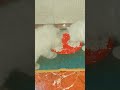 “These Two Cats Eating Together Is So Satisfying 😻🍽️ | So Cute!”“দুইটা বিড়াল একসাথে খাবার খাচ্ছে 😻