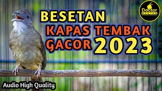 Download Lagu MASTERAN KAPAS TEMBAK SUPER GACOR MBESET KASAR DAN TEMBAKAN PANJANG COCOK BUAT SEMUA BURUNG KICAU MP3