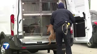 Dog Attack Severely Injures Woman, Boy In Dayton Neighborhood Whio-Tv