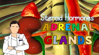 Steroid Hormones: Adrenal Glands