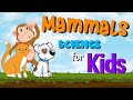 Understanding Mammals