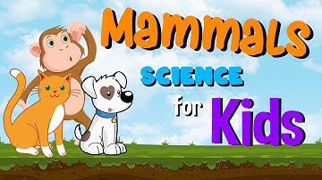 Mammals | Science for Kids