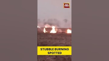 Stubble burning in Gurdaspur field fuels pollution concerns in Punjab