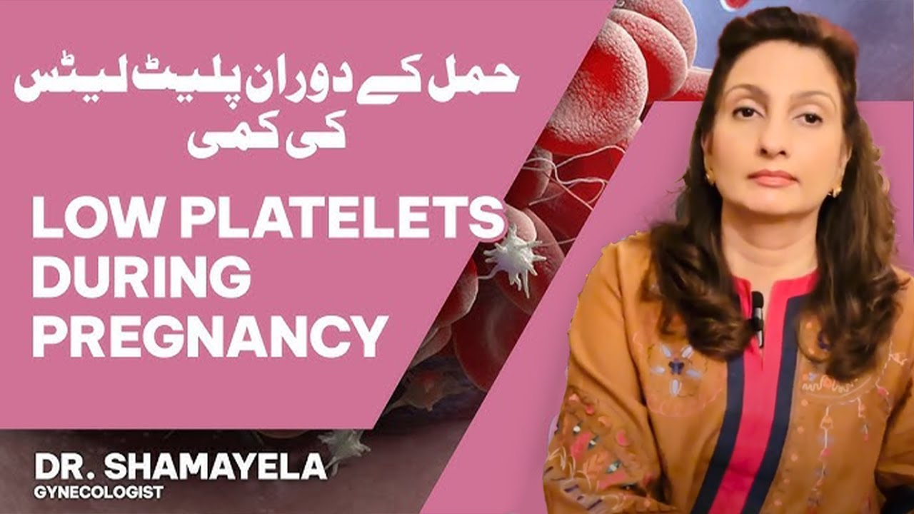 Pregnancy Main Platelets Low Kyun Hote Hain Or Issey Kese Bacha Ja Sakta Hai? | Dr. Shamayela