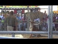 Meadowlands State Fair 6-26-12 Part 3