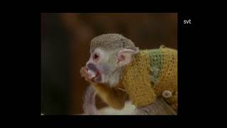 Pippi Långstrump - Fest Hos Pippi