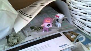 LPS siskot #2