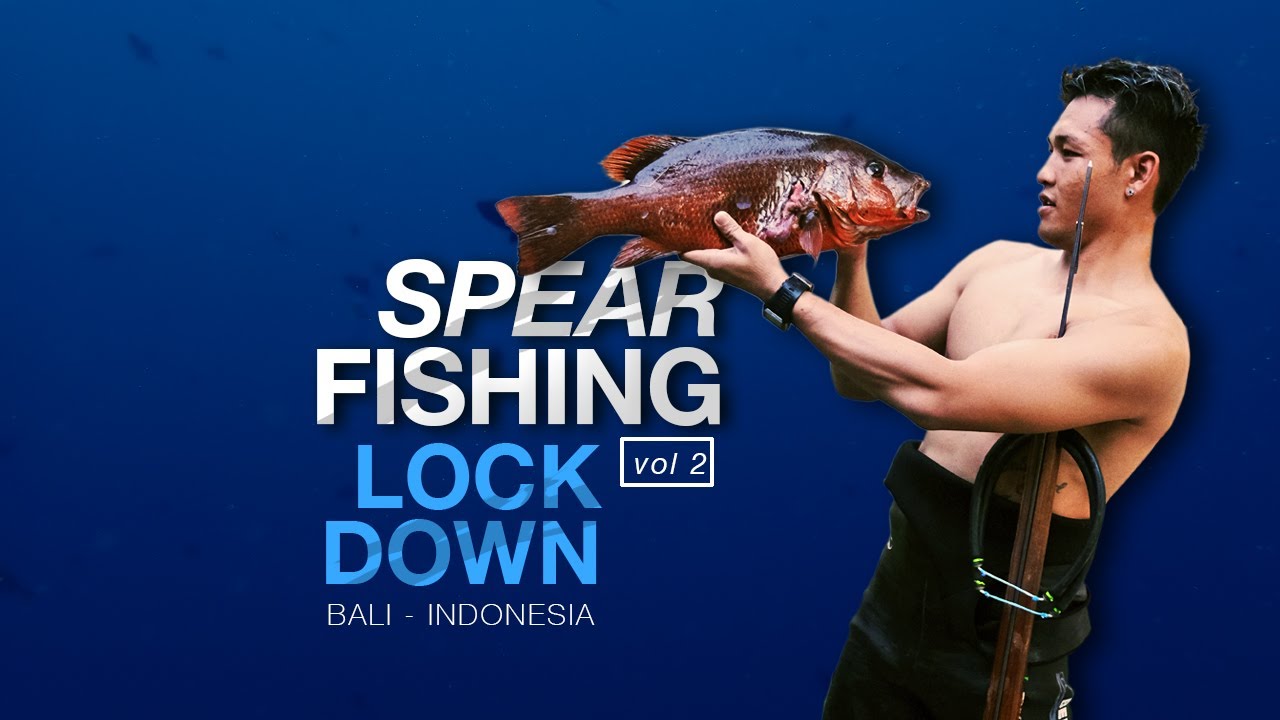 BALI SPEARFISHING | MENEMBAK IKAN DI BALI (VOL 2)