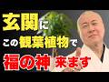 【崔燎平×櫻庭露樹】運気爆上げ!”観葉植物”総集編 #崔燎平 #櫻庭露樹 #小野マッチスタイル邪兄