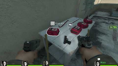 left 4 dead 2 Running Linux Mint.