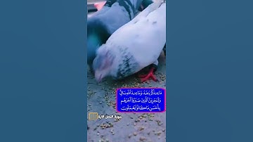 #سورة-النحل الآية 96