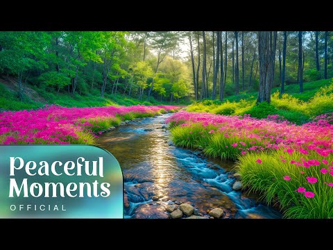 Twilight Drift - Peaceful Moments