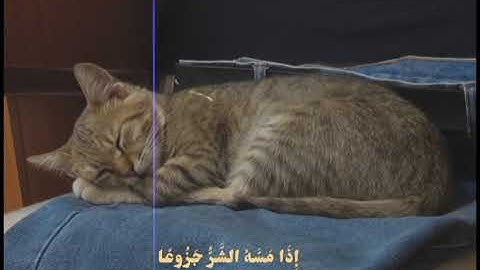 تلاوة هادئة ٫ ما تيسر من سورة المعارج بصوت القارئ الشيخ محمد البنا رحمه الله 😇🩵