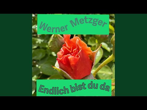 Endlich bist du da