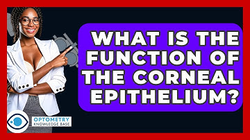 What Is The Function Of The Corneal Epithelium? - Optometry Knowledge Base