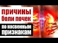 Отчего болят почки: как распознать причину по косвенным признакам