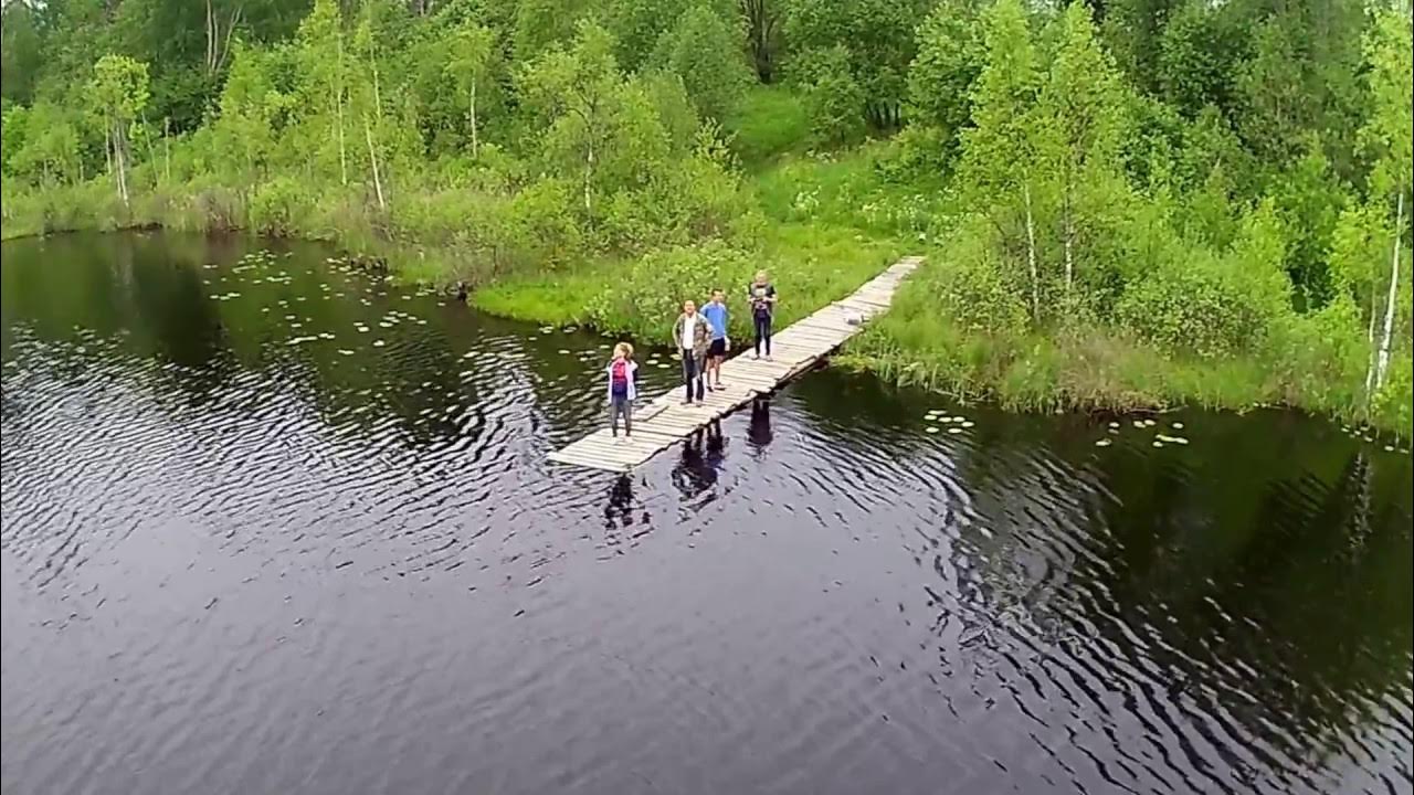 Кирсино Ленинградская область озеро