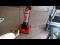 dog Vs. vacuum