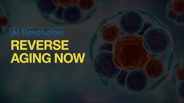 Scientists Might Have Found the Key to Living Longer!