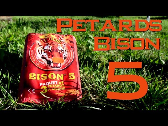 JP PATROTTE TENU PETARD BISON 6 DANS LA MAIN AIE !!! - Vidéo