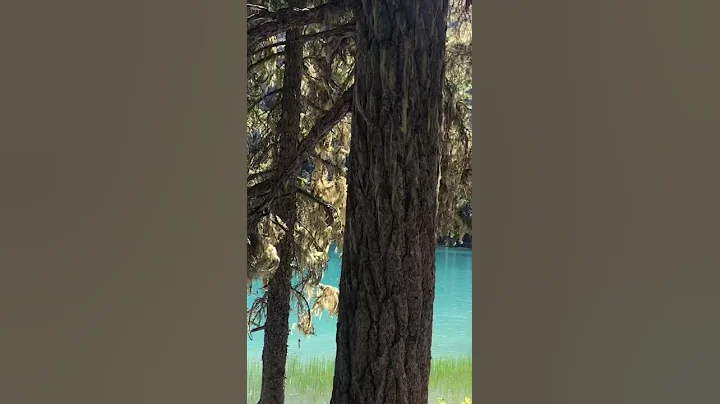 Most beautiful Joffrey Lake❤️Canada,BC #youtubeshorts #vacation #nature