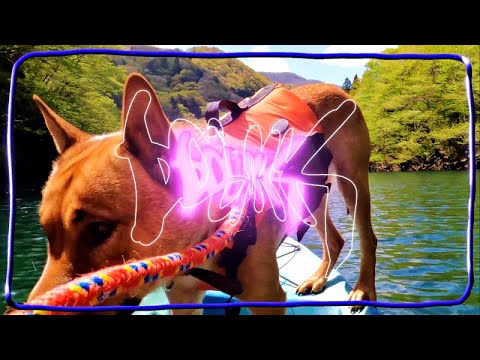 DOGDAYS - 虻瀬犬（Abu-Se-Ken / DOGDAYS） - YouTube