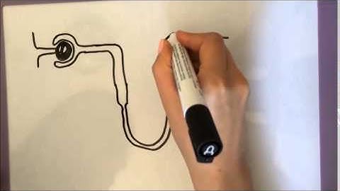 Ruthenium Project 1 - A wee bit unfair