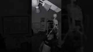 Skeleton On Fan Hits Child Meme