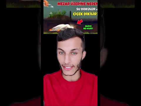 Mezar Üzerine neden