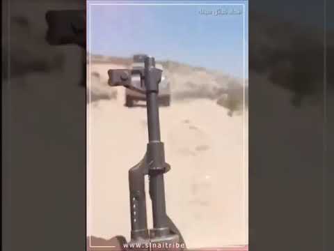 تحادالقبائل سيناء مجموعة فرسان الهيثم بدو سيناء