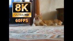 Memes 8k Youtube