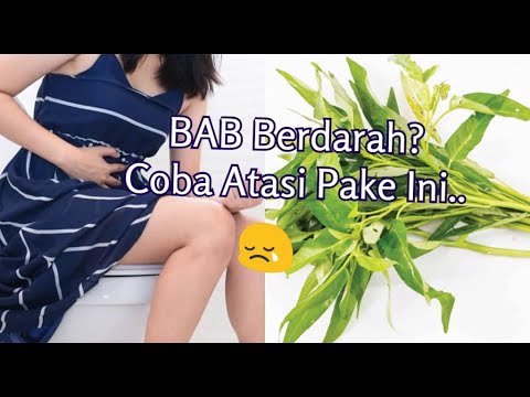 Obat Berak Berdarah Herbal Obat Berak Berdarah Herbal