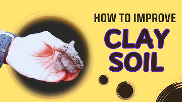 Easy Way to Improve Clay Soil I Natural soil amendments for clay soil