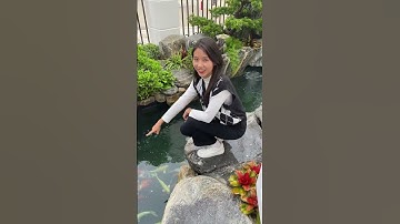 Xin các bác vài tip chọn cá Koi đẹp ạ