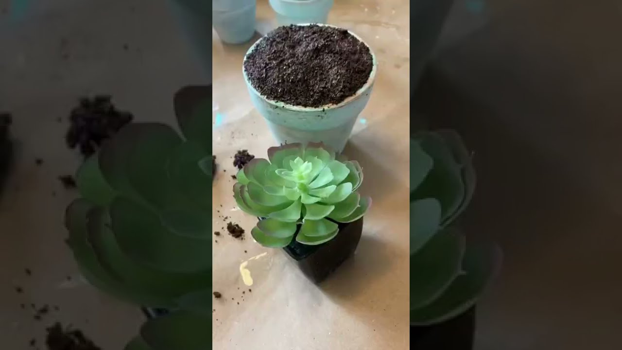 How to Make Fake Soil for Artificial Plants – WAYSAVING