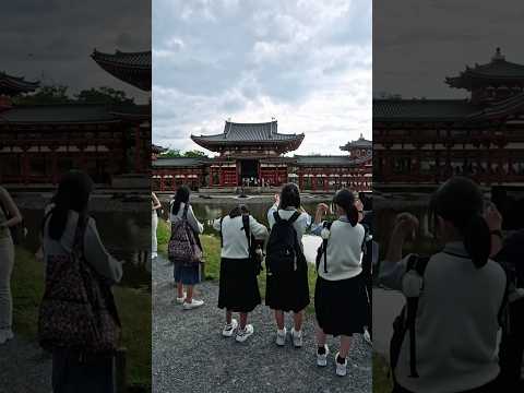 2025年5月30日（金）平日の京都宇治の人出状況。外国人大殺到！平日的京都宇治人潮湧動。大量外國人湧入！Crowds in Uji, Kyoto on a weekday.