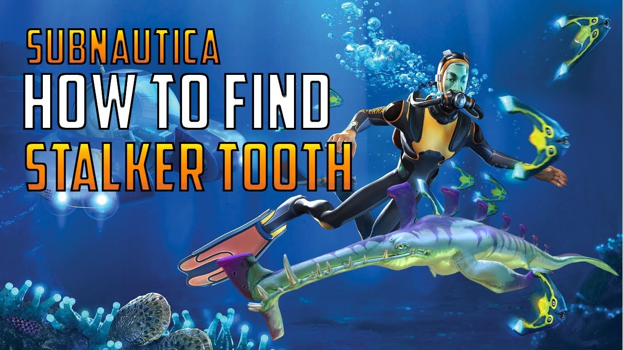 Subnautica How to find Stalker Tooth YouTube