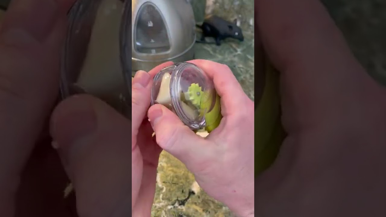 The Best way to chop garlic garlicbread cooking amazon YouTube