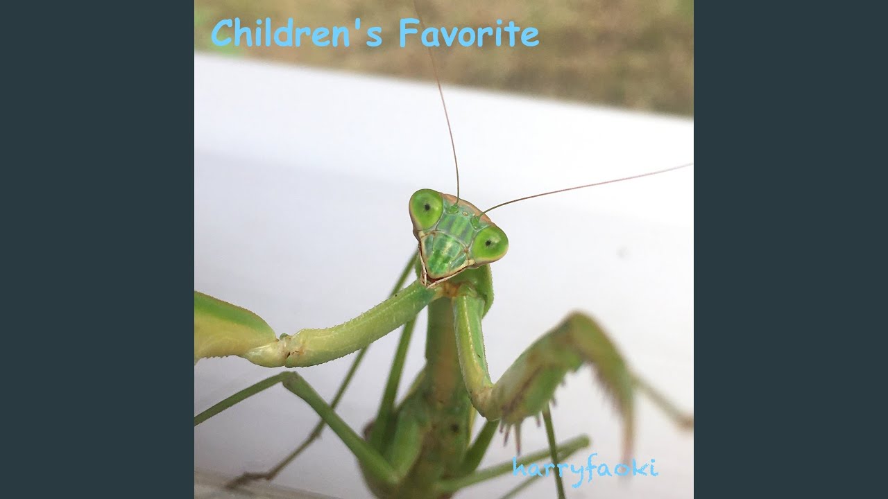 夢の花咲く時まで auf YouTube ansehen