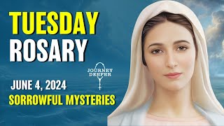 Tuesday Rosary ❤️ Sorrowful Mysteries of the Rosary ❤️ June 4, 2024 VIRTUAL ROSARY