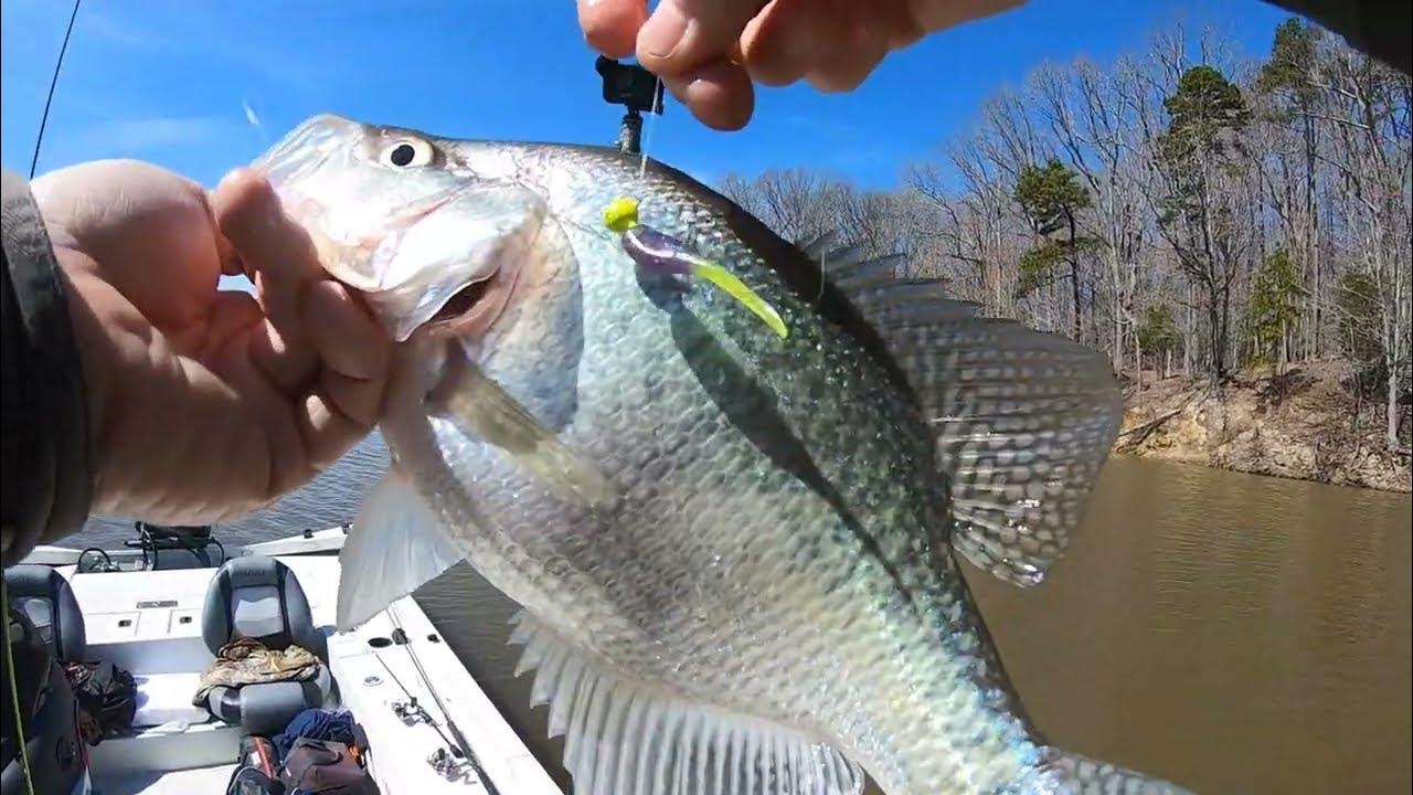 Kerr Lake Heavy Stained Water/Hot New Bait Colors For Stained Water