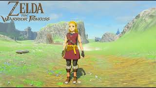Zelda : The Warrior Princess (Outfit Progress Update)