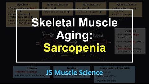 Skeletal Muscle Aging: Sarcopenia - JS Muscle Science